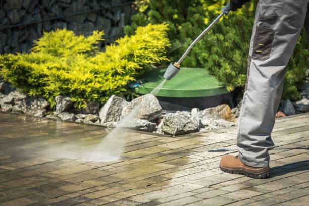 Best Roof Washing  in Buchanan Dam, TX