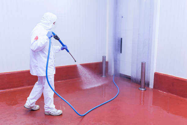 Best Pre-Holiday Cleaning  in Buchanan Dam, TX
